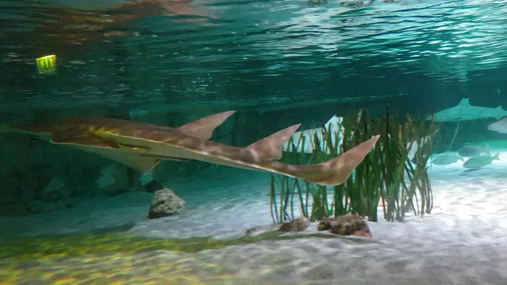 SEA LIFE Oberhausen_Oberhausen_slider_image_2