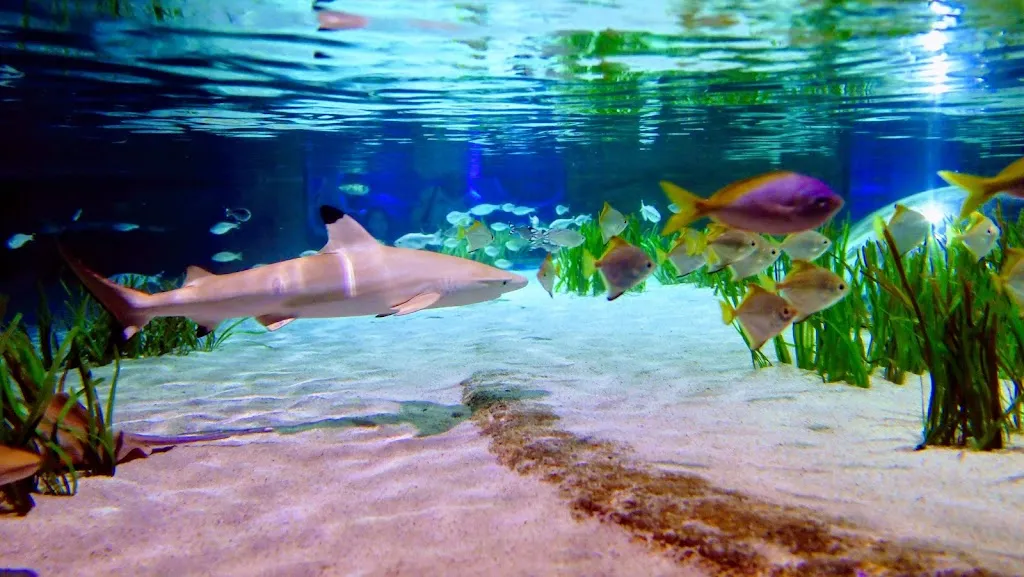 SEA LIFE Oberhausen_Oberhausen_slider_image_3