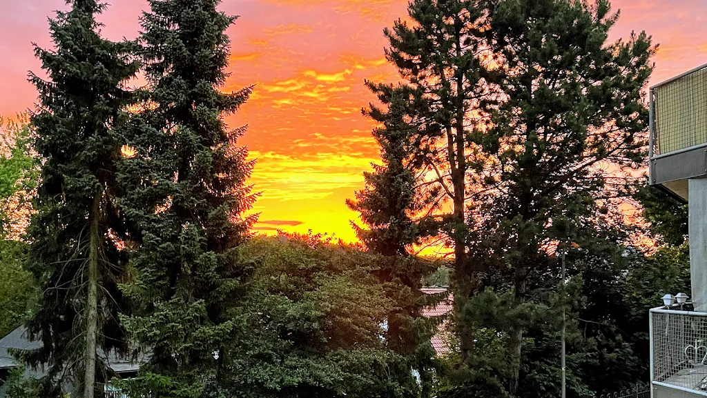 China-Restaurant Sommerpalast_Oerlinghausen_slider_image_3