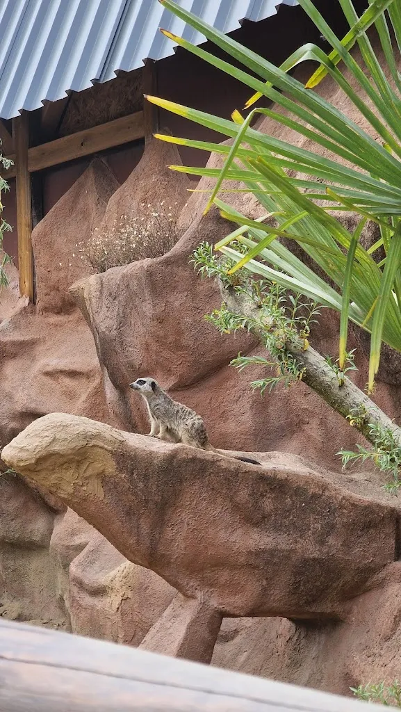 Animal and amusement park Good Eversum ristorante a Olfen