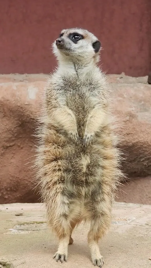 Animal and amusement park Good Eversum_Olfen_slider_image_2