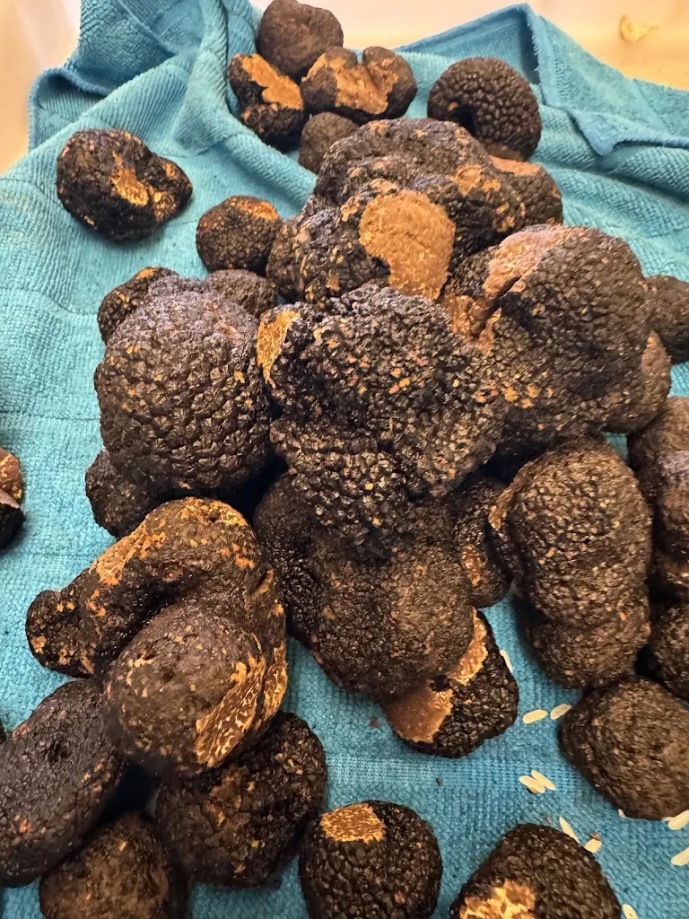 Menu_Da Filippo Ristorante in Olsberg_Olsberg_image_9