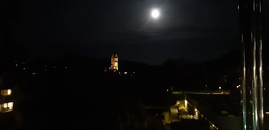 A. Bog_Parkhotel Olsberg_Olsberg_review