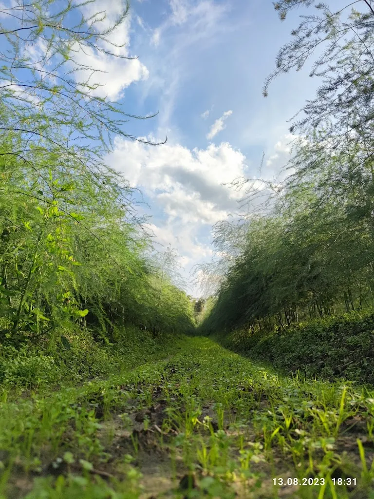 Ostbevern_Ostbevern_slider_image_2