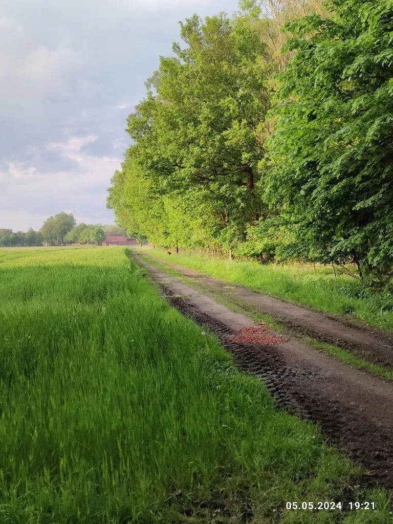 Ostbevern_Ostbevern_slider_image_3