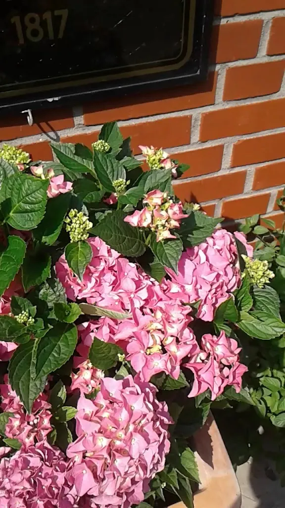 Pieser's Gasthaus seit 1589_Telgte_slider_image_2