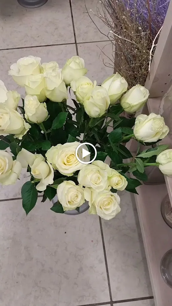 Blumenstube Ostbevern_Ostbevern_slider_image_2