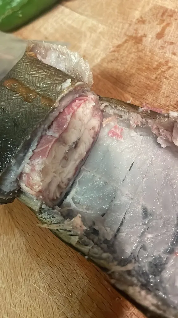 Ioanna Nasiopoulou_Fischparadies Mado_Germering_review