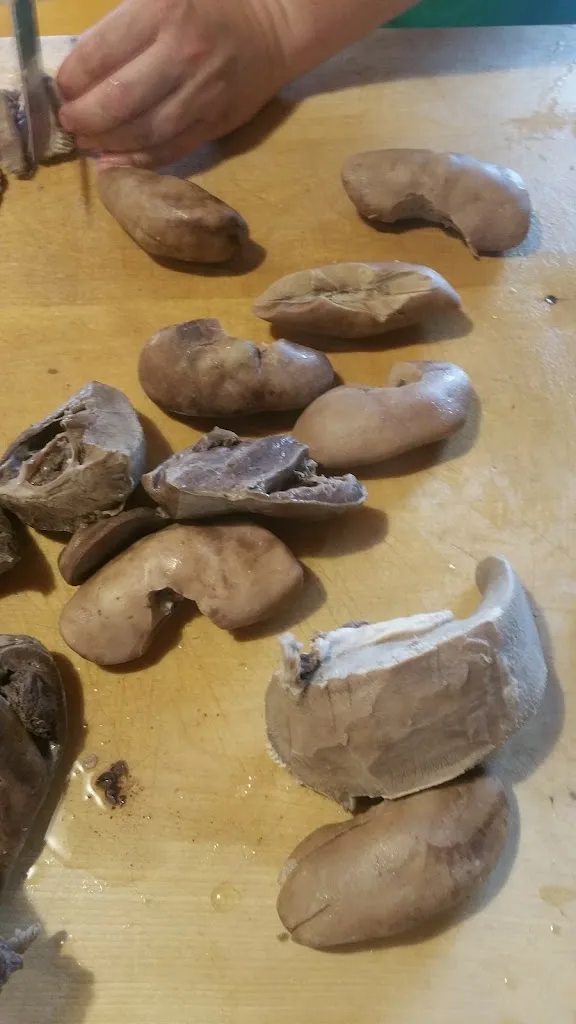 Menu_TSV-Gaststätte „Panos“_Gochsheim_immagine_5