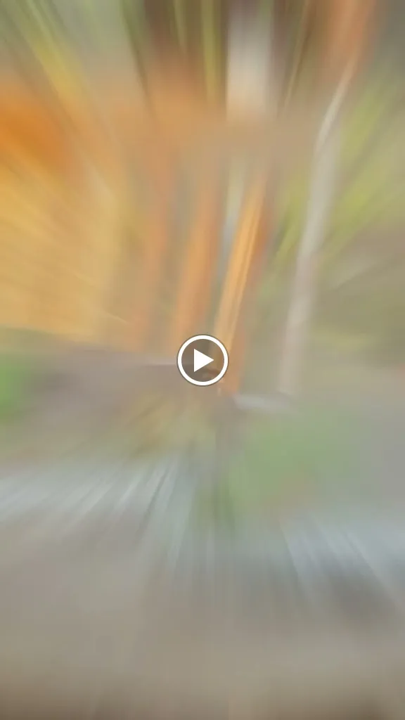 Restaurant Swagat_Pulheim_slider_image_2