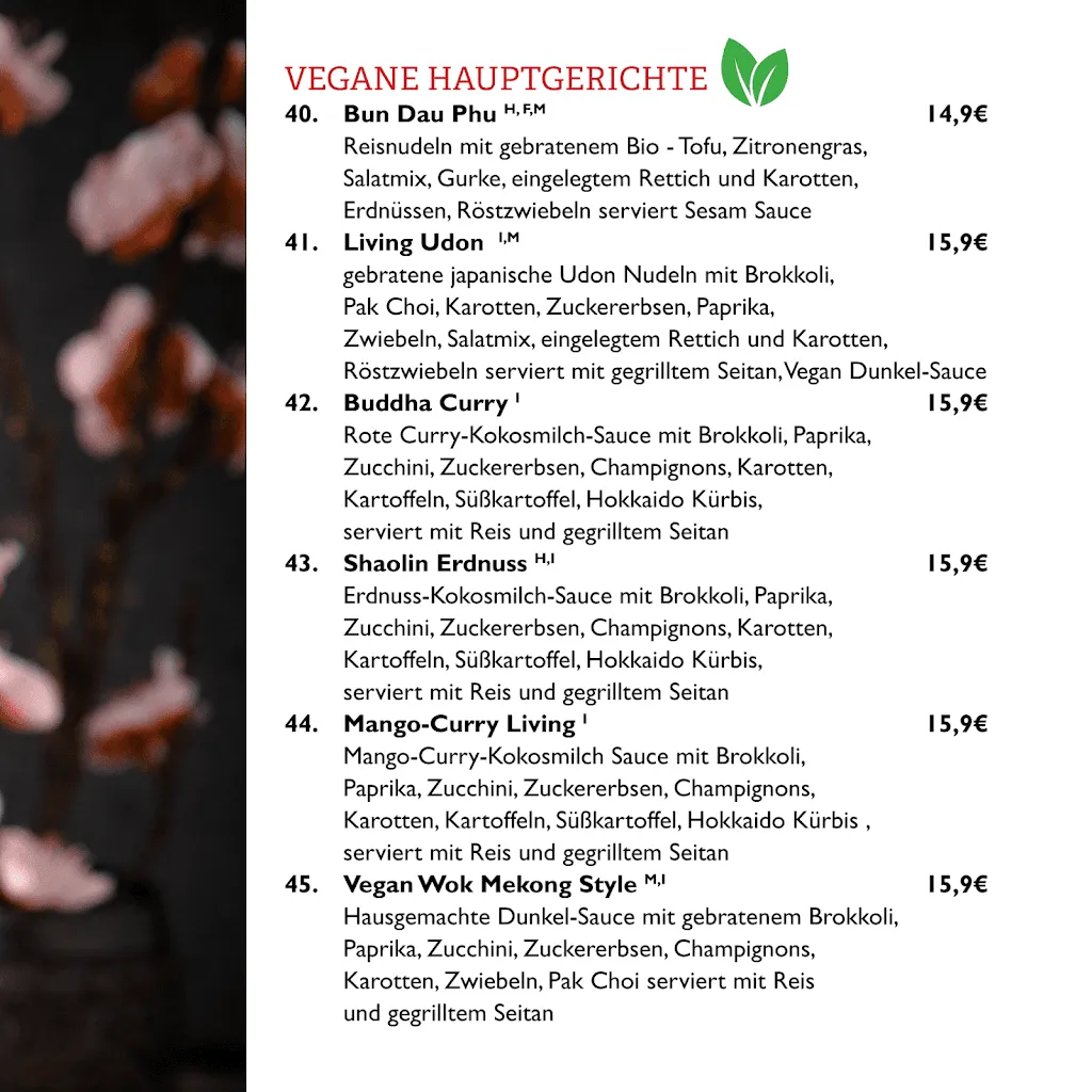 Menu_Anh Thoc Restaurant_Radevormwald_image_3