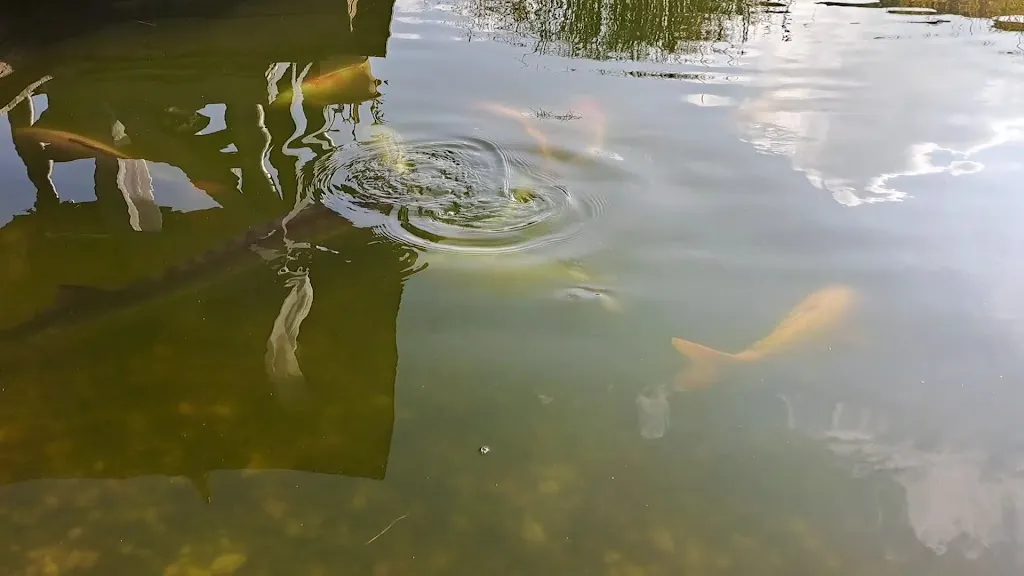 Museum für Asiatische Kunst_Radevormwald_slider_image_2