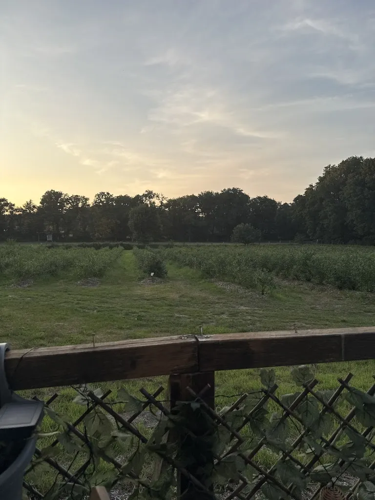 Max Hoppe_Adelheids Spargelhaus_Raesfeld_recensione