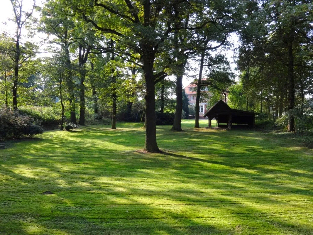 Restaurant Tatsumi_Recke_slider_image_3