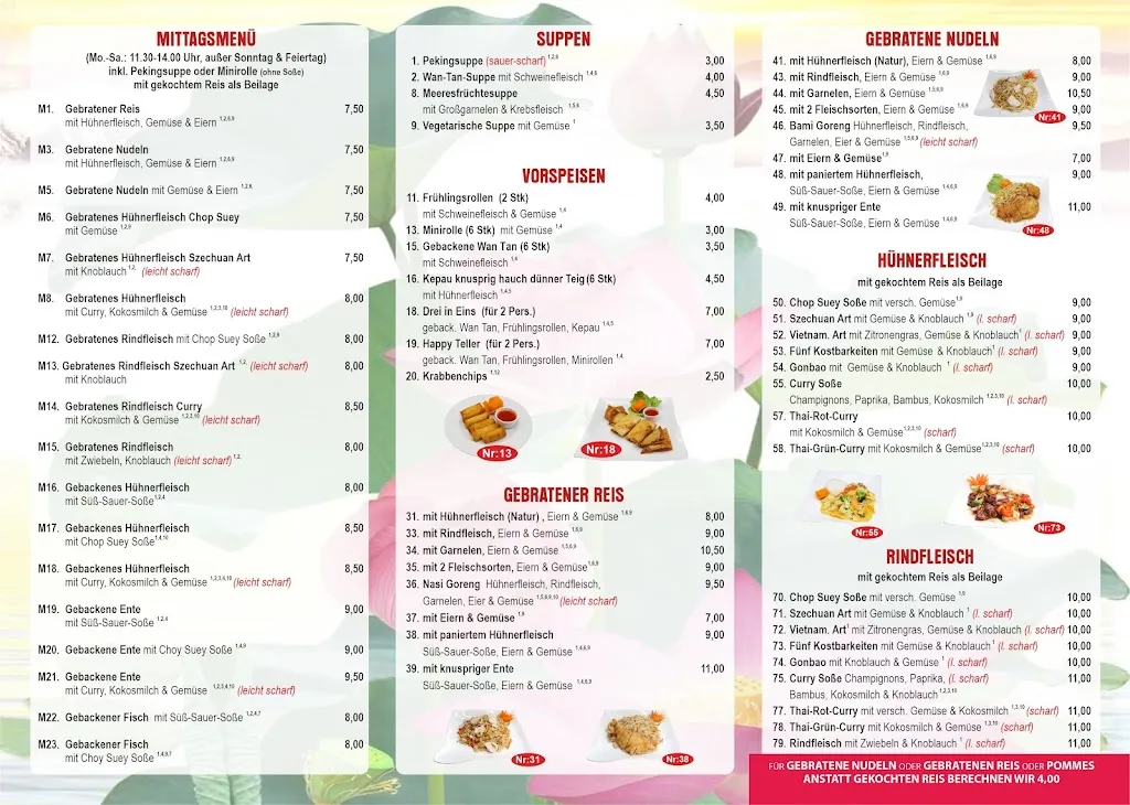 Menu_Hoa Sen-Asiatische Küche_Recke_immagine_1