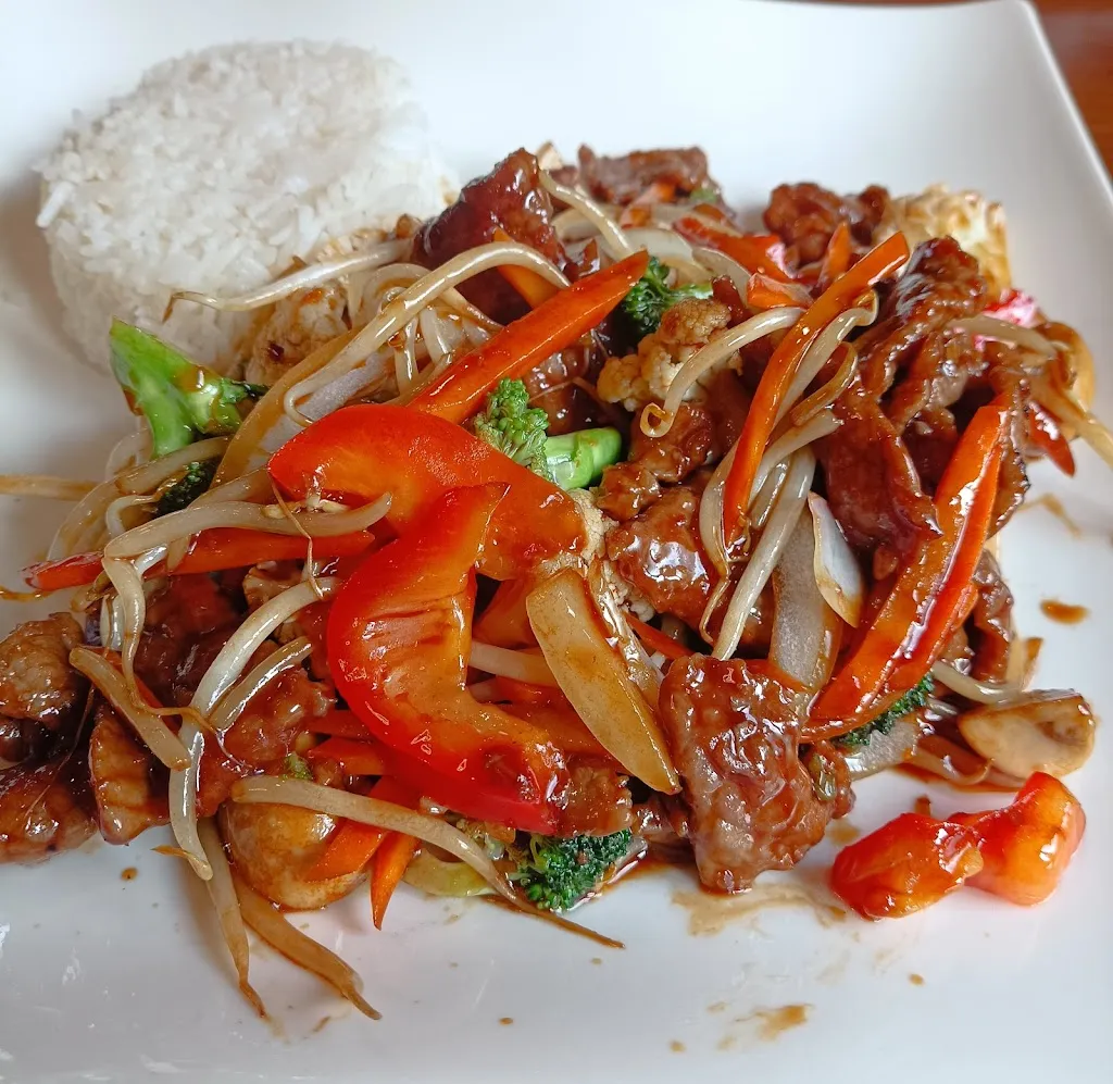 Menu_Hoa Sen-Asiatische Küche_Recke_immagine_4