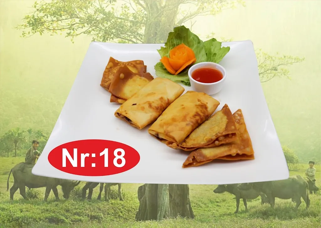 Menu_Hoa Sen-Asiatische Küche_Recke_immagine_8