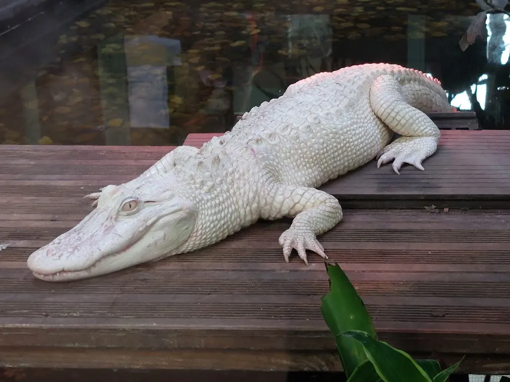 TerraZoo restaurant in Rheinberg