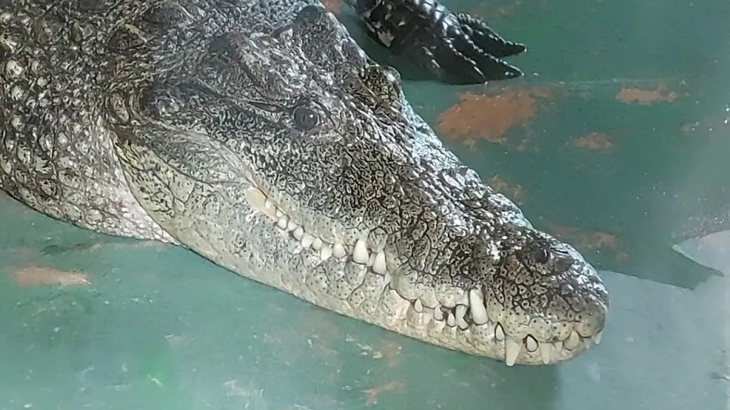 TerraZoo_Rheinberg_slider_image_2