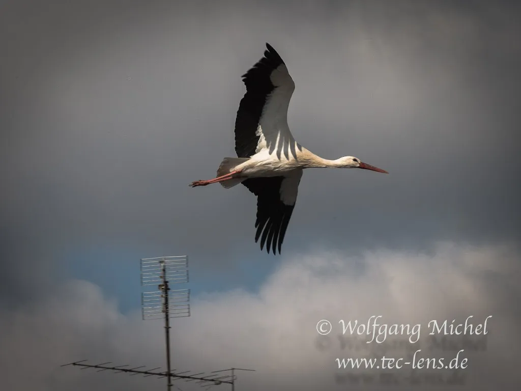 Wolfgang Michel_Gasthaus Fahrrad_Altshausen_recensione