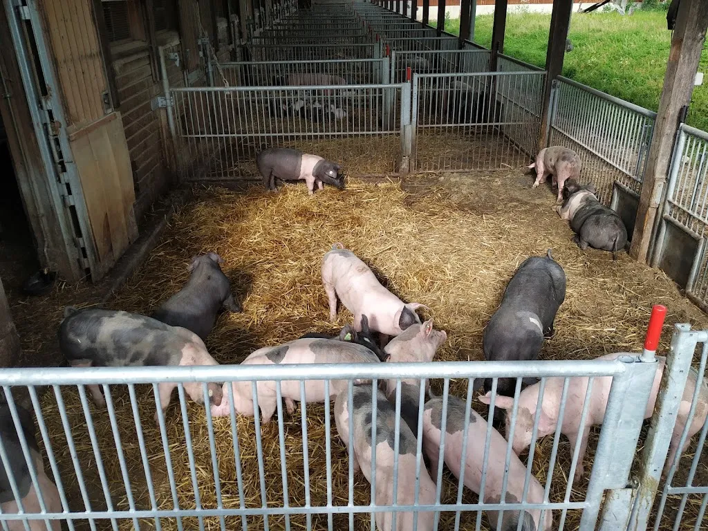 Herrmannsdorfer Landwerkstätten Glonn GmbH & Co. KG_Glonn_slider_image_3