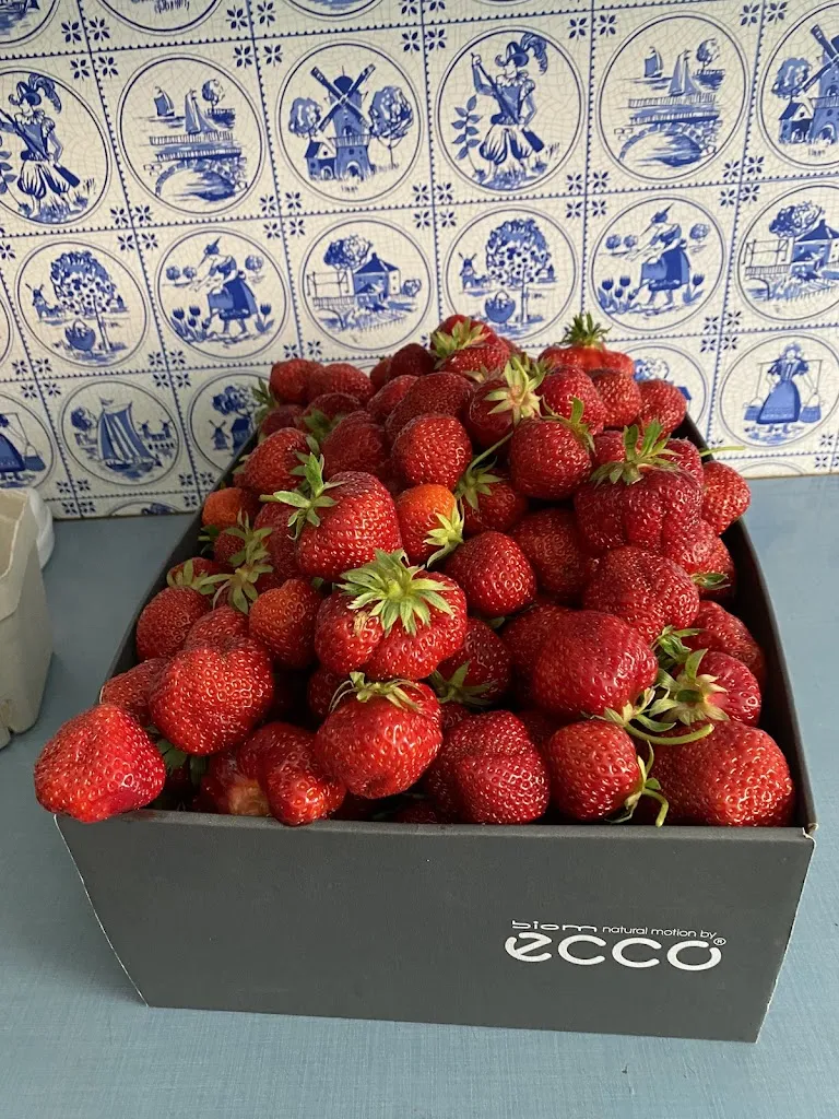 Menu_Rheda-Wiedenbrück Spielerei - Wasserspielplatz Emsweg 0_Rheda-Wiedenbrück_image_6