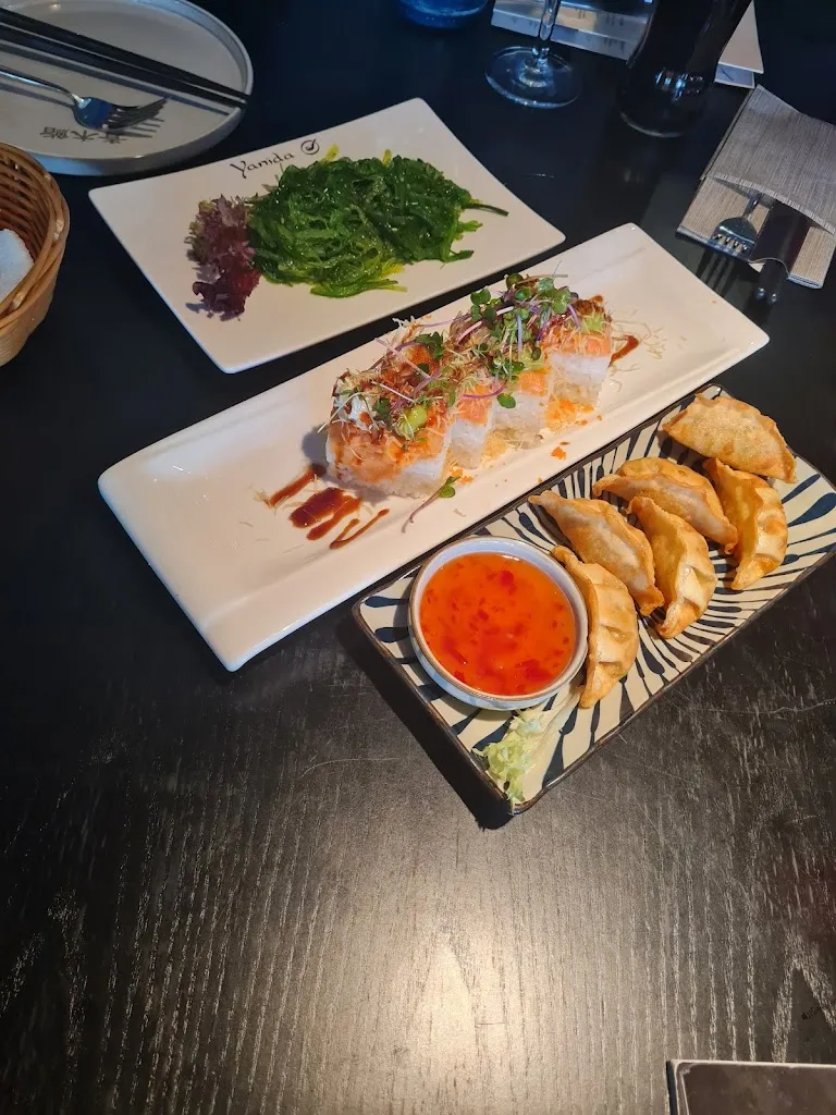 Stefan Dressel_AOKI SUSHI Asian Fusion_Goldbach_review