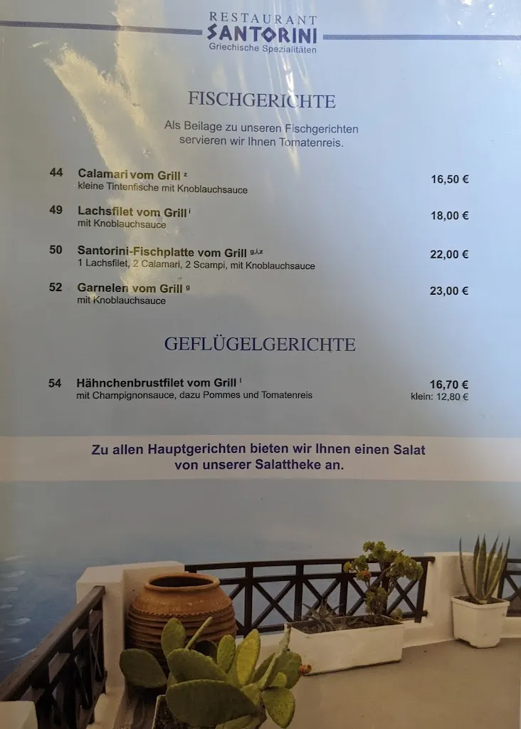 Menu_Restaurant Santorini_Rheine_image_4