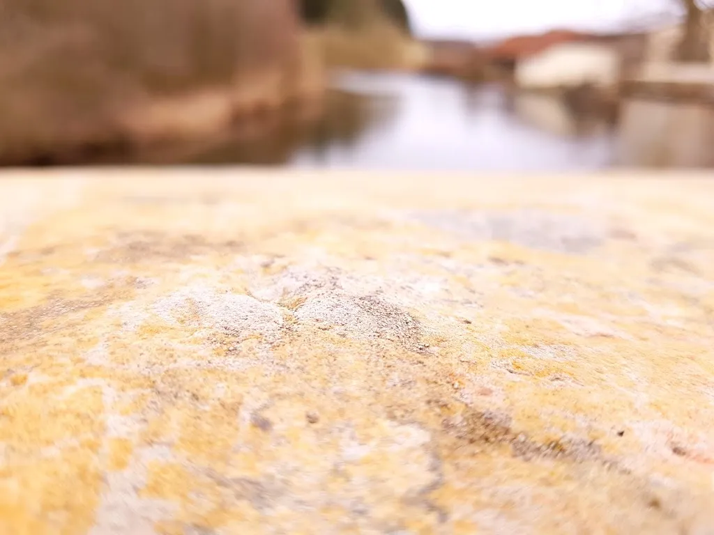 Menu_Harkotten Castle: Wappensaal_Sassenberg_image_9