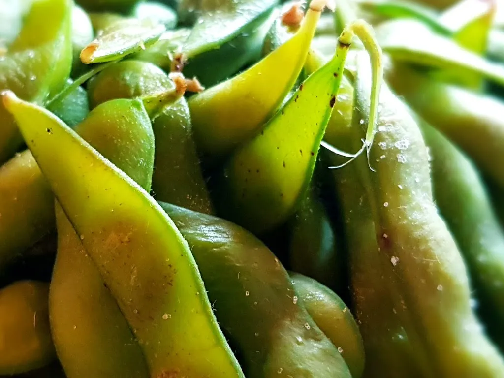 Menu_Hachi - Asian Grill_Bayreuth_imagen_9