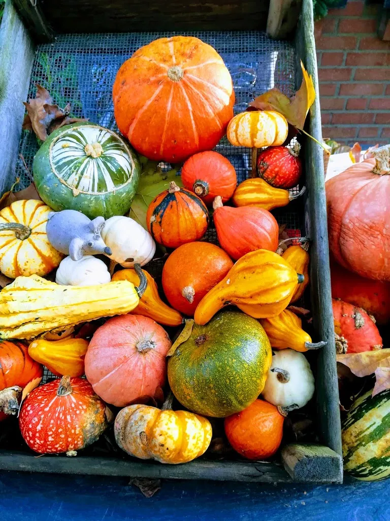 Menu_Hufschen Henn Hofgastronomie_Uedem_image_3