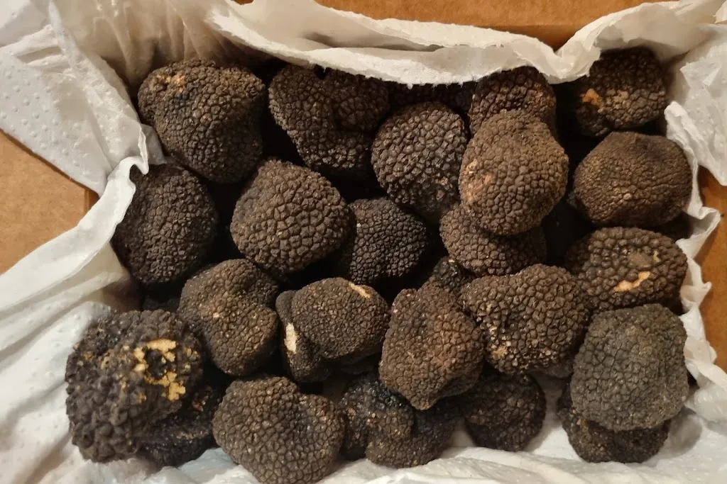 Menu_Sportpark Restaurant da Giuseppe_Wachtberg_image_5