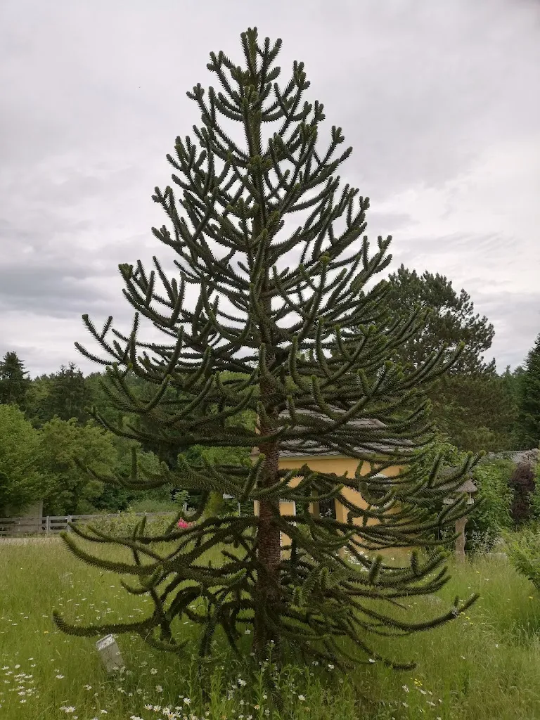 Ute Müller_Waldgaststätte Peterhof_Peterhof_review