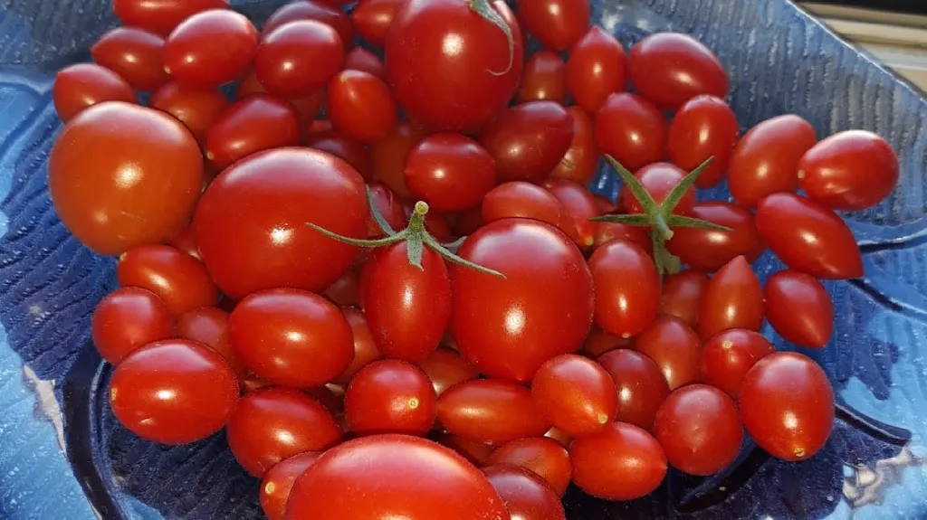 Pizzeria Nido_Übach-Palenberg_slider_image_3