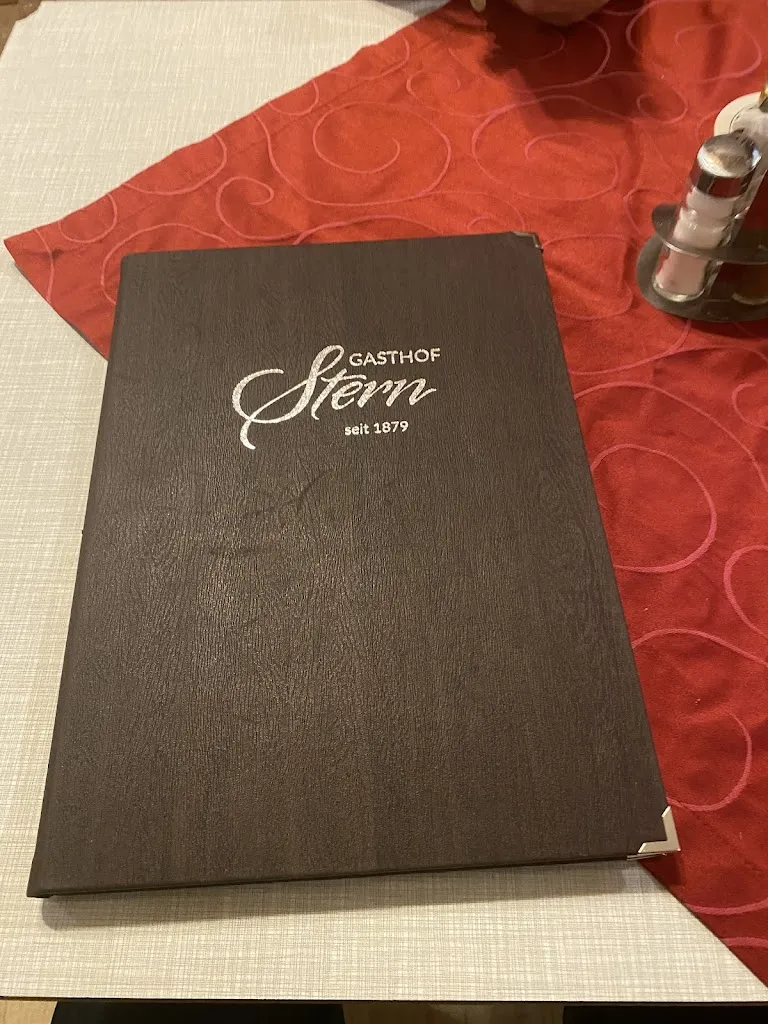 Arthur van Houdt_Gasthof Stern_Gersthofen_review