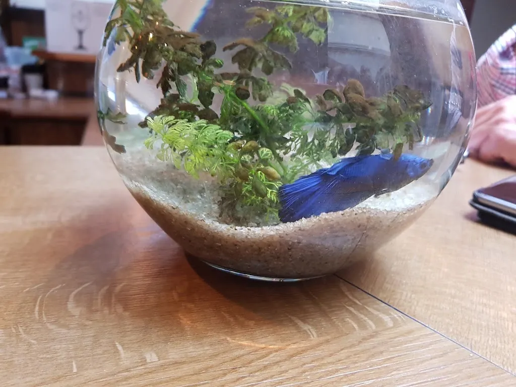 Menu_Dorfkeller Flüren_Wesel_immagine_4