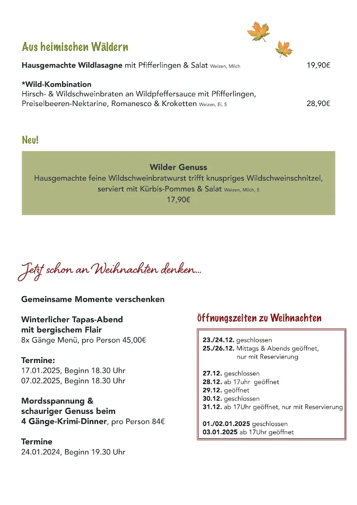 Menu_Restaurant Napoleon_Wipperfürth_image_2