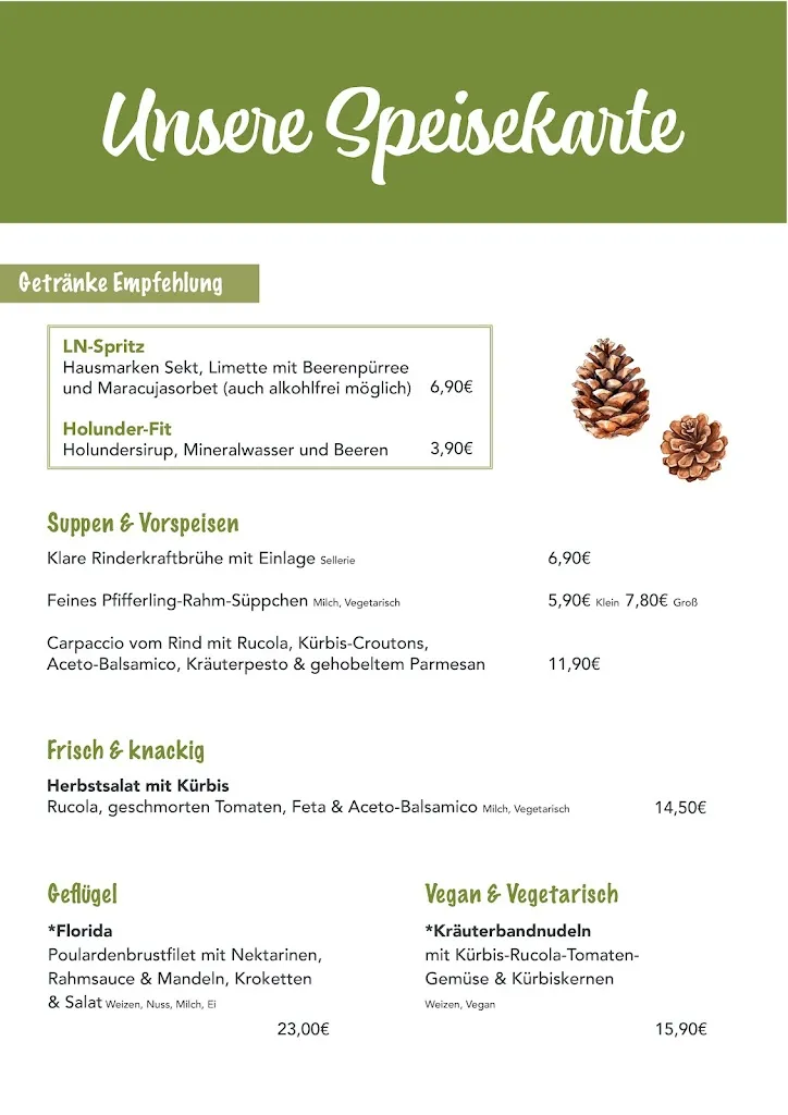 Menu_Restaurant Napoleon_Wipperfürth_image_4
