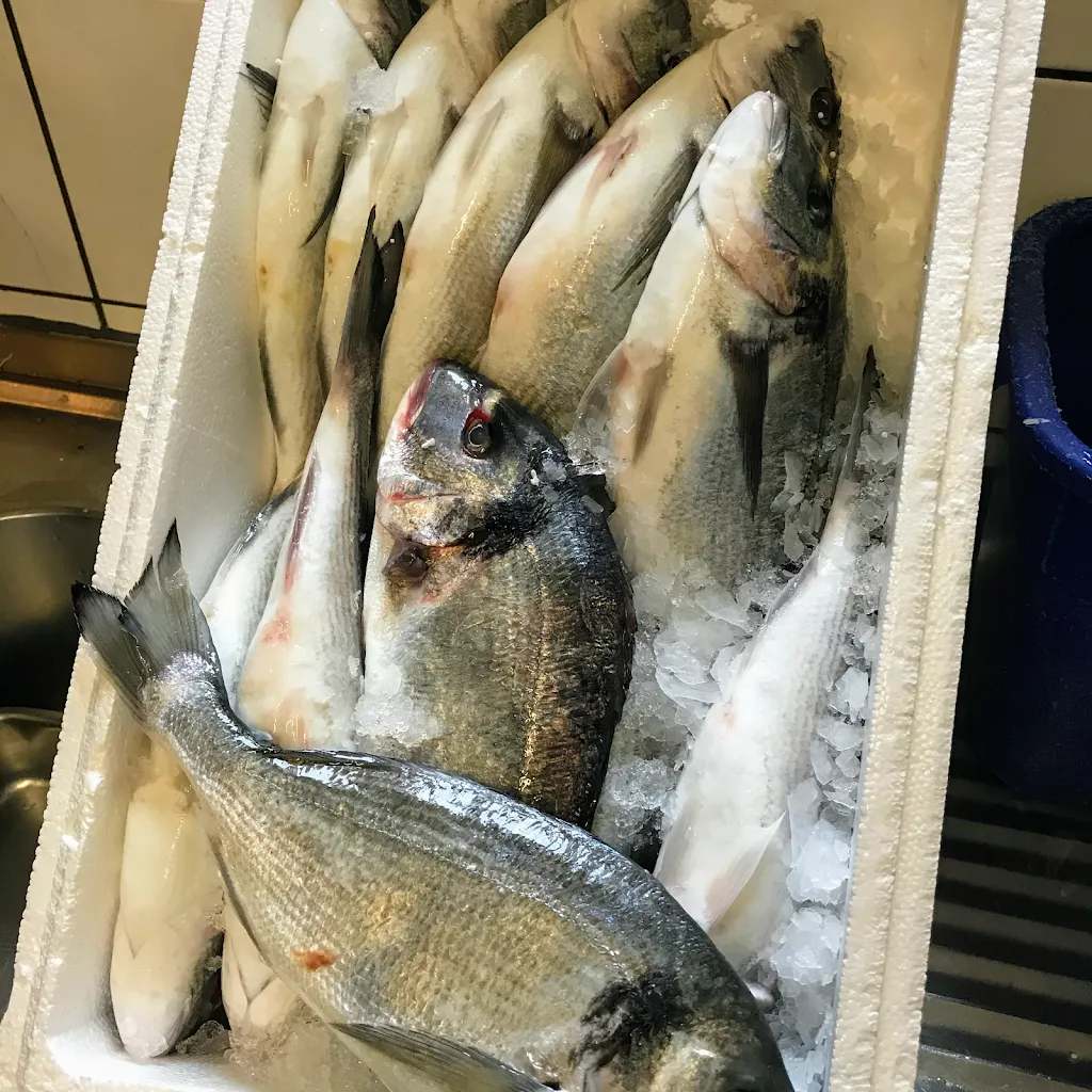 Menu_Restaurant Rhodos_Wipperfürth_image_5