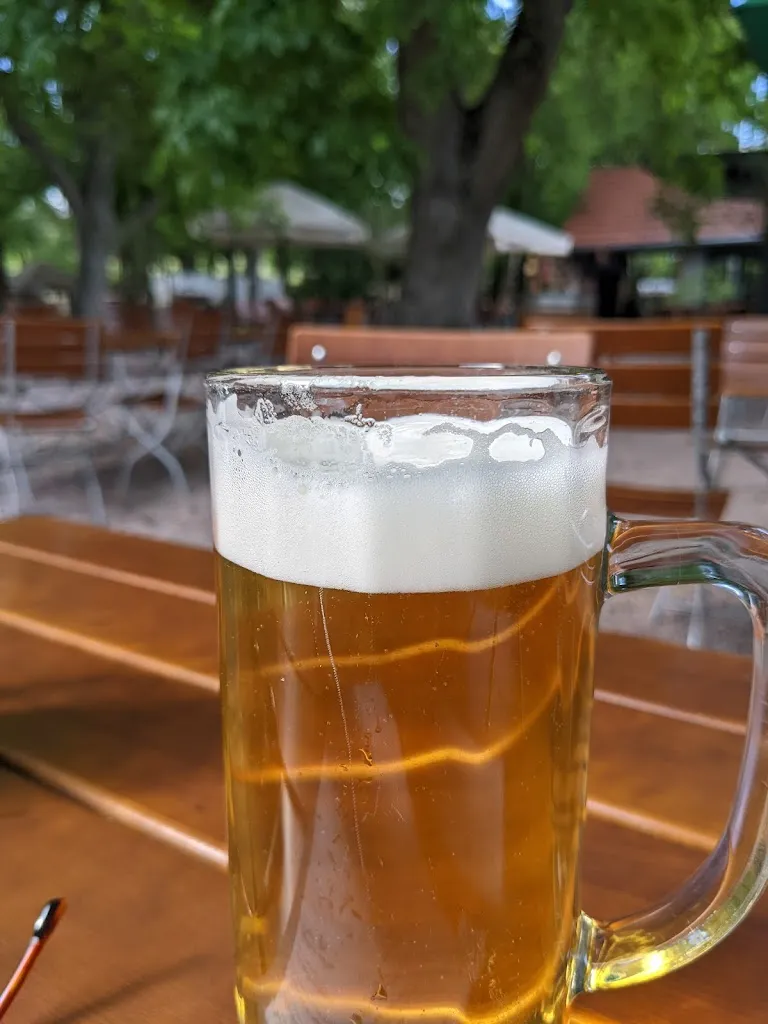 Menu_Wirtshaus in der Hansenmühle Alzey_Alzey_immagine_6