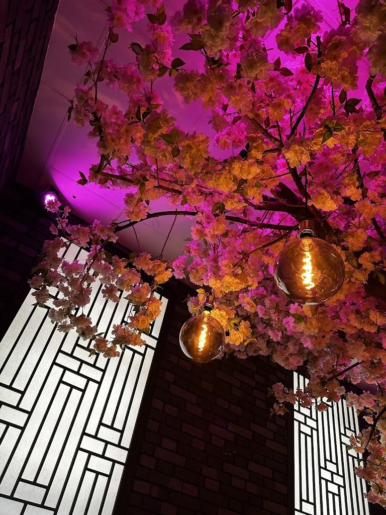 Xenia Cofman_Kaia Alzey_Alzey_recensione