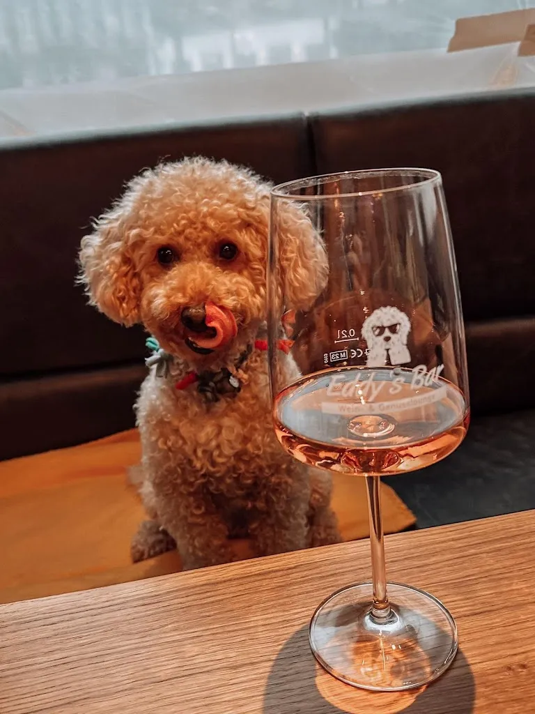 Menu_Eddy’s Bar, Wein- und Genusslounge_Andernach_immagine_7