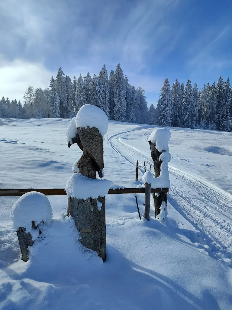 Marc Vollenweider_Restaurant Hintergeissboden_Zugerberg_avis