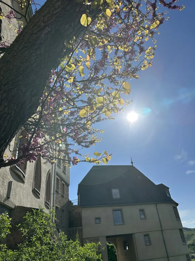 Jay Cee_Restaurant Freigeist_Kreuznach_recensione