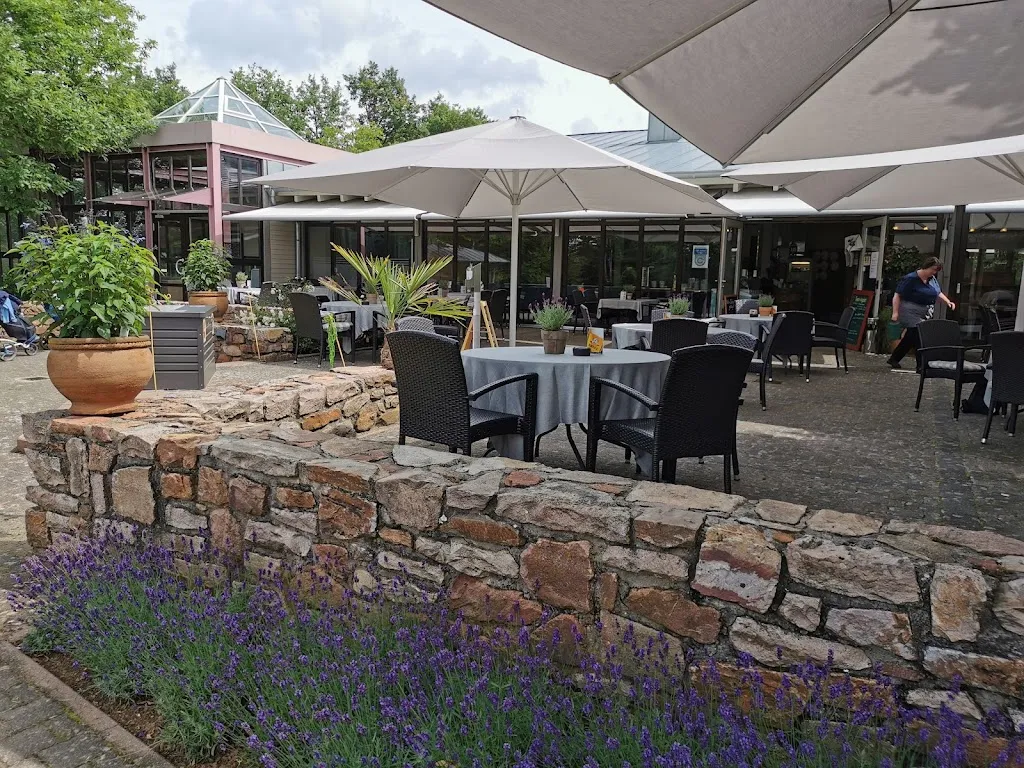 Restaurant Drei Buchen restaurant in Kreuznach