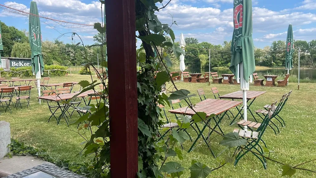 Paul Fabian Harz_Zum Fischerheim 1A_Bobenheim-Roxheim_review