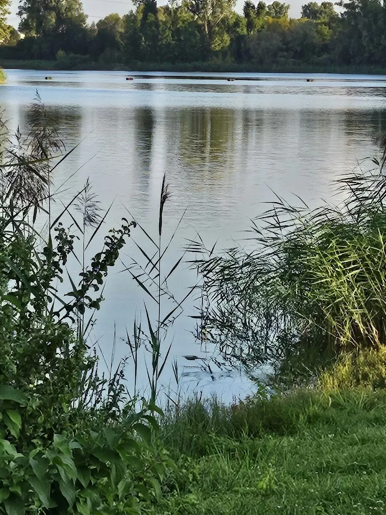 Seestube_Bobenheim-Roxheim_slider_image_3