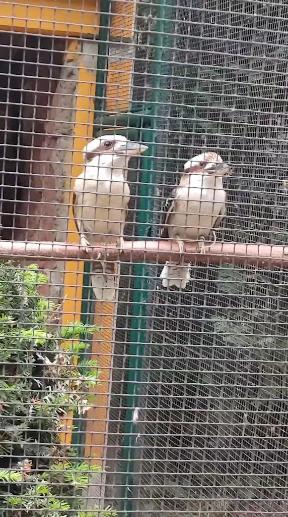 Vogelpark Bobenheim-Roxheim_Bobenheim-Roxheim_slider_image_2