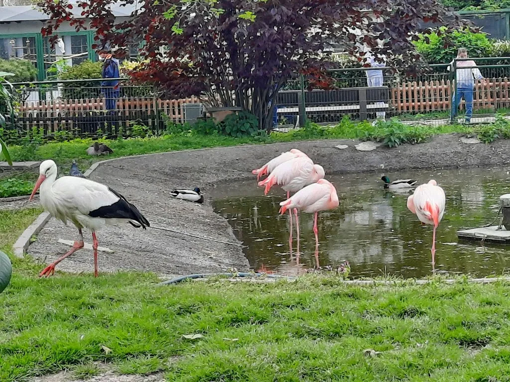 Vogelpark Bobenheim-Roxheim_Bobenheim-Roxheim_slider_image_3
