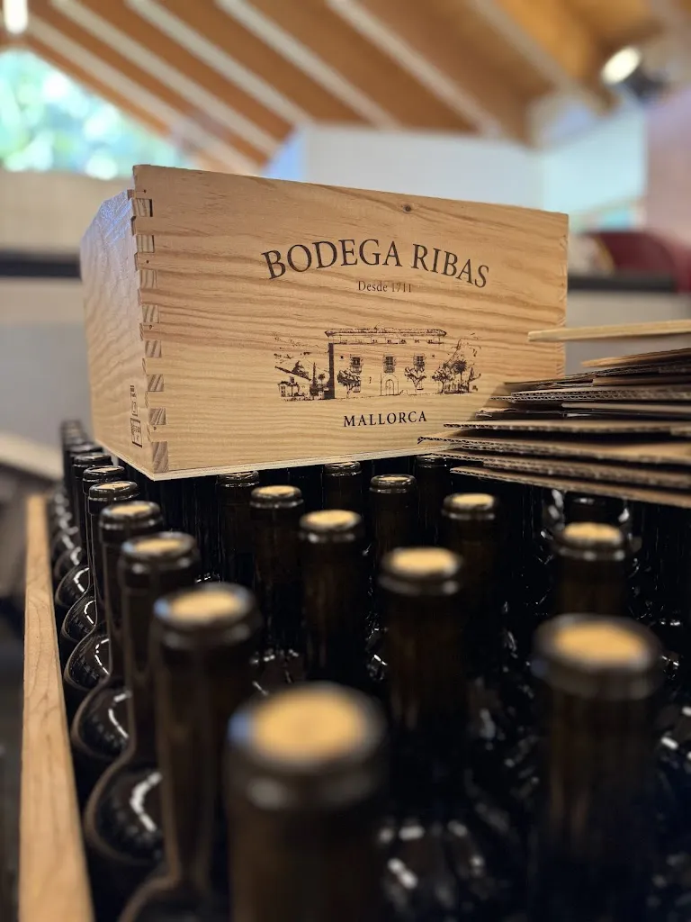 Martin Fleck_Der Mallorquiner_Bornheim_review